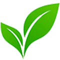Advanced Biochar Climate Solutions